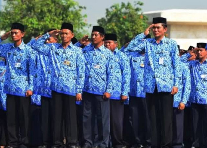 Kamu Sarjana Pendidikan Ingin Daftar CPNS 2024? Berikut 10 Formasi yang Dibuka Untuk S1 Pendidikan