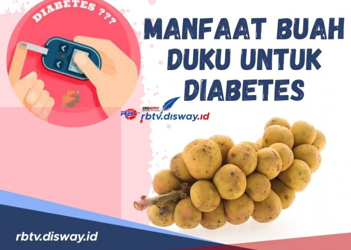 Atasi Kadar Gulamu! Ini Manfaat Buah Duku untuk Diabetes Dijamin Beres