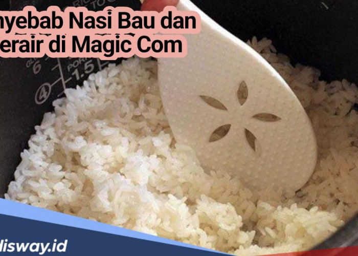 Ternyata Ini Penyebab Nasi Bau dan Berair di Magic Com! Begini Cara Pilih Magic Com yang Berkualitas