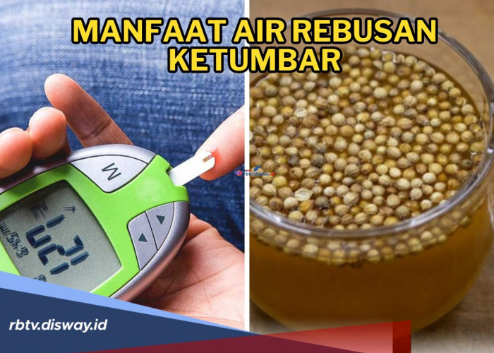 Si Kecil Mungil Kaya Nutrisi, Begini Cara Membuat Air Rebusan Ketumbar untuk Mendapatkan Manfaatnya