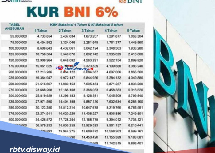 KUR BNI 2024 Tanpa Jaminan, Ini Syarat dan Cara Pengajuannya, Dijamin Pinjaman Rp 50 Juta Cair Dalam Sekejap