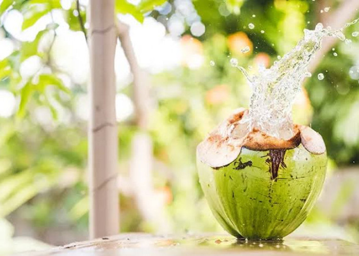 Bolekah Minum Air Kelapa Setiap Hari? Ini Efek Samping yang Perlu Diketahui