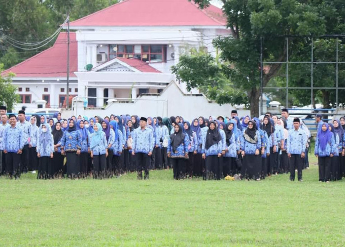 TPP ASN Bengkulu Selatan Siap Cair, Sekarang Kendalanya Ini