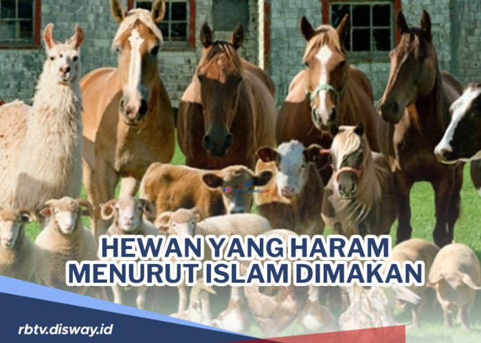 Jangan Salah Lagi! Ini Hewan yang Haram Dimakan Menurut Islam serta Hadisnya