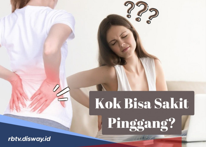 Ini Alasan Kenapa Pinggang Belakang Sakit kalau Duduk Lama, Cek juga 6 Risikonya