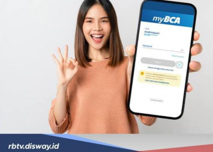 Promo Bunga 0 Persen Paylater BCA Masih Ada Tahun Depan, Ini Periode Berlakunya