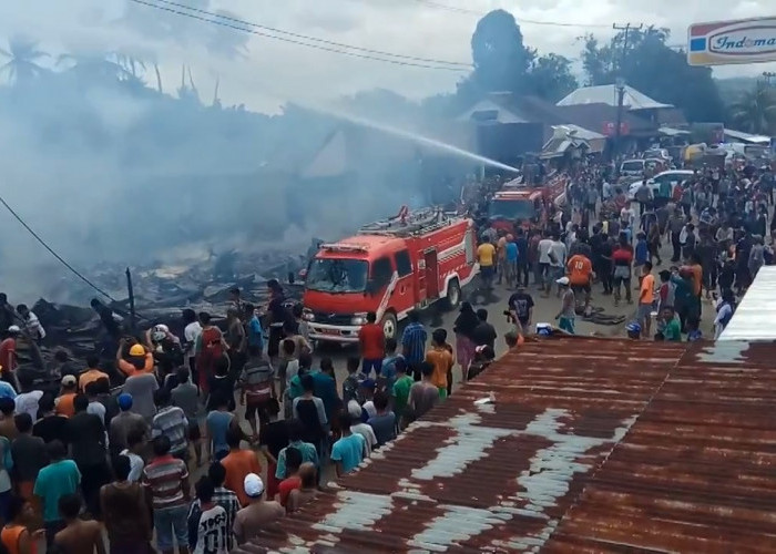 Bupati Seluma Temui Kemenpan RB Usulkan Lowongan ASN PPPK Damkar, Jumlahnya Segini