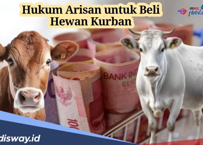 Begini Hukum Arisan untuk Beli Hewan Kurban dan Ini Cara Peritungannya