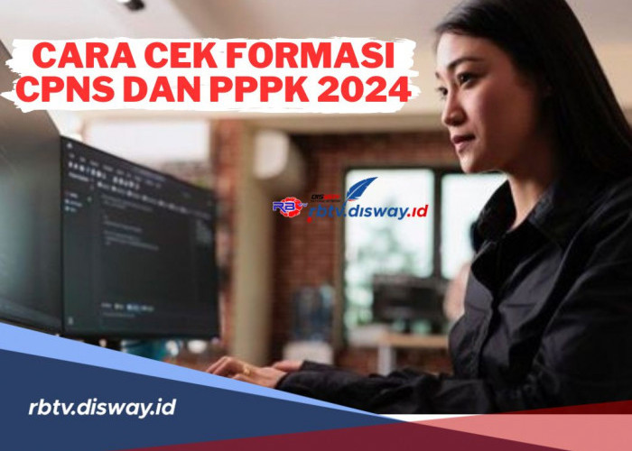 Begini Cara Melihat atau Mengecek Formasi CPNS dan PPPK 2024 yang Dibuka Pemerintah