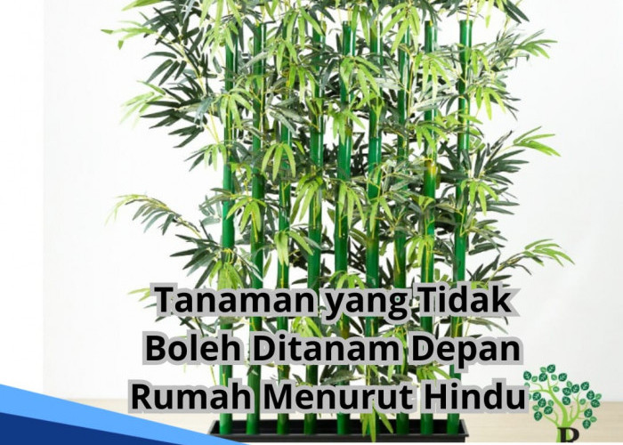 Menurut Agama Hindu, 4 Jenis Tanaman Ini Tidak Boleh Ditanam di Depan Rumah, No 3 Bisa Hambat Rezeki