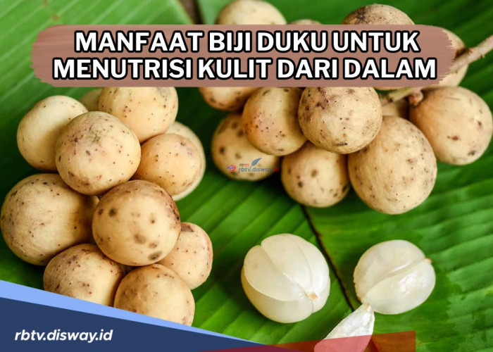 Manfaat Biji Duku untuk Menutrisi Kulit dan Mengurangi Radang Jerawat, Begini Cara Mengolahnya 