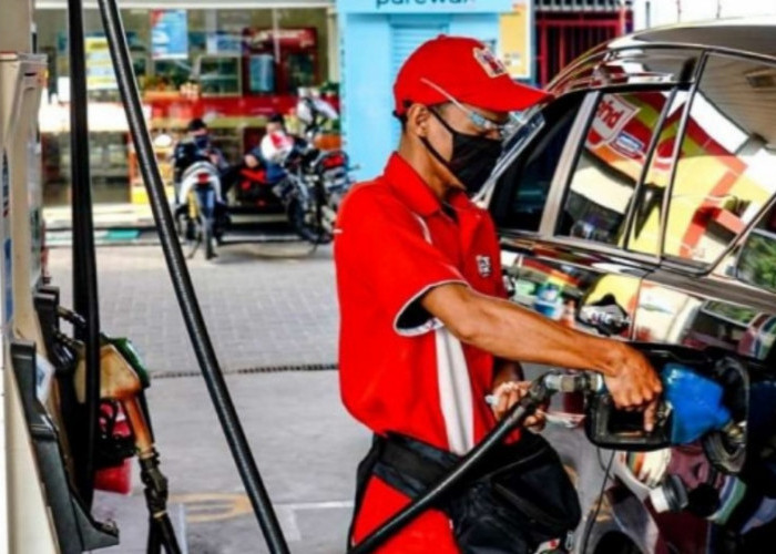 Habis Lebaran Mobil Jenis Ini akan Dilarang Isi Pertalite, Ini Daftar Jenis Mobilnya