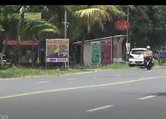 Minggu Ini Dispar Provinsi Tertibkan Pelaku Usaha di Pantai Panjang