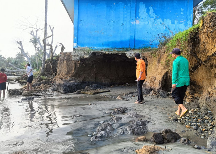 Dampak Abrasi, TPI dan Pelabuhan Mini Desa Ketapang Baru Ambruk