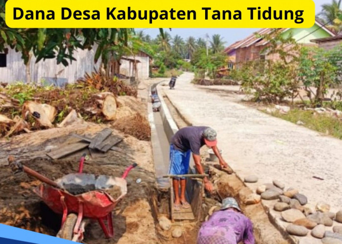 Rincian Dana Desa Kabupaten Tana Tidung 2024, Ini 10 Desa yang Terima Anggaran Rp 1 Miliar