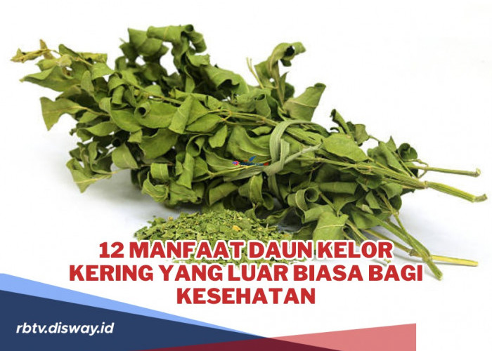 12 Manfaat Daun Kelor Kering yang Luar Biasa Bagi Kesehatan, Simak Cara pengolahannya