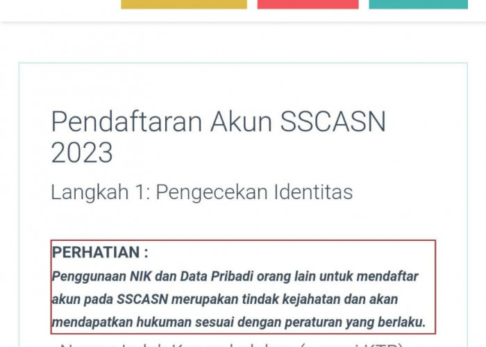 Tidak Diundur, Ini Cara Buat Akun dan Daftar CPNS 2023 di sscasn.bkn.go.id