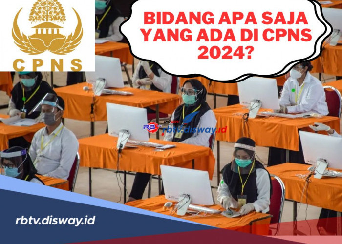 Ada 21 Bidang Pekerjaan, Salah Satunya Tenaga Pendidik, Cek Jurusanmu di Sini Pra Mendaftar CPNS 2024