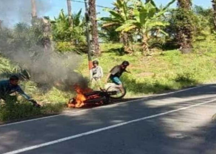 Kejadian Nyata: Kisah Sedih Kurir Paket yang Berakhir Bahagia