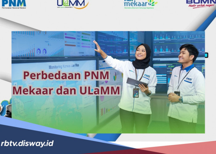 Sama-sama Bisa Pinjam Uang untuk Modal Usaha, Ini 5 Perbedaan PNM Mekaar dan ULaMM BRI