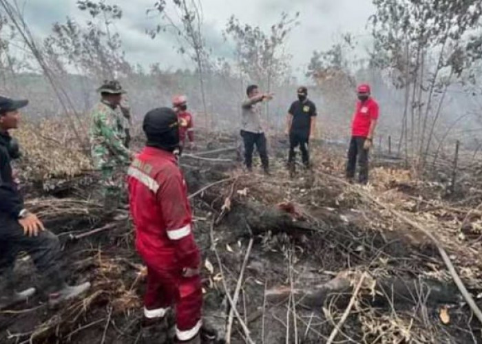 Oh El Nino, Gunung-gunung Terbakar Hutan-hutan juga Berasap, Tahun Ini Karhutala Terparah