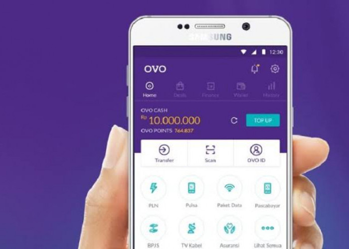 Masih Sering Bayar Tunai? Coba Pakai OVO, Seperti Ini Kelebihan dan Kekurangan Dompet Digital OVO