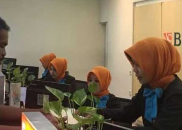 Ada KUR BNI Rp 50 Juta, Angsuran hanya Rp 900 Ribu per Bulan, Cek Syaratnya Berikut 