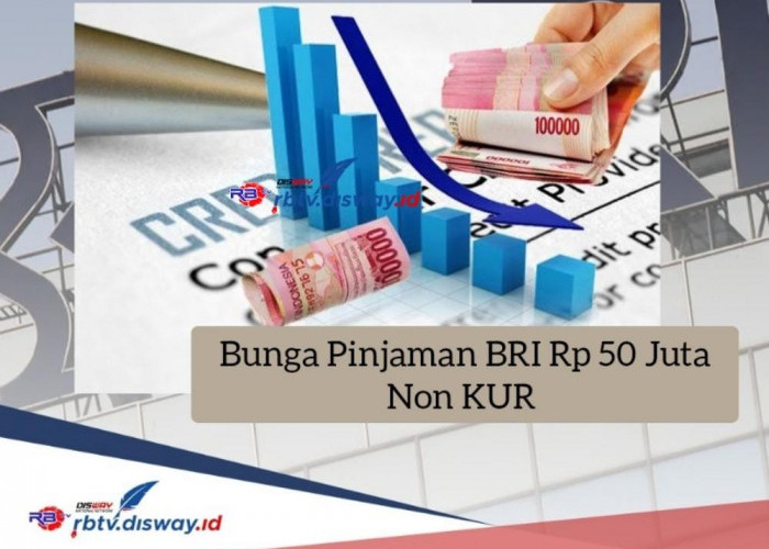 Bunga Pinjaman BRI Rp 50 Juta Non KUR, Tidak Pakai Biaya Provisi, Cicilan Ringan 