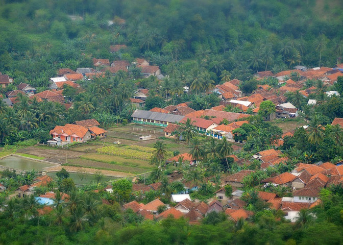 Gaji dan Tunjangan Setara ASN, Begini Tugas dan Wewenang Perangkat Desa