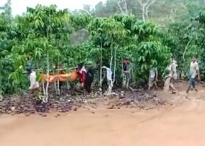 Korban Tertimbun Longsor Bersama Pondok Kebun di Kaur Berhasil Ditemukan