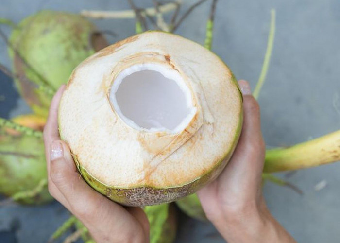 Penderita Asam Lambung Tidak Perlu Khawatir Minum Air Kelapa, Ini Manfaat Air Kelapa untuk Penyembuhan