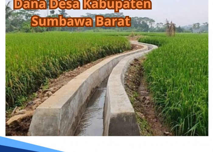 Dana Desa di Kabupaten Sumbawa Barat Tahun 2024, Ada Desa dengan Anggaran Rp 1 Miliar