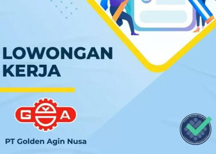 Lowongan Kerja untuk Lulusan D3, PT Golden Agin Nusa Butuh Karyawan, Semua Jurusan Bisa Daftar