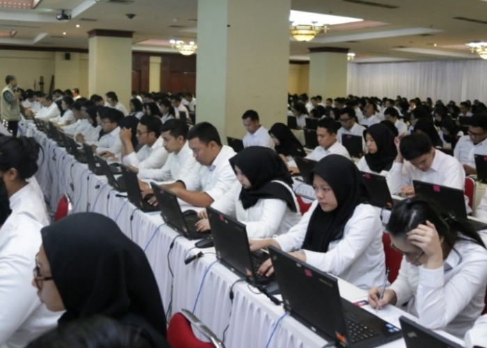 Pasti Gelar Tes CPNS 2023, Segera Siapkan Persyaratan, Ini 4 Profesi yang Diprioritaskan