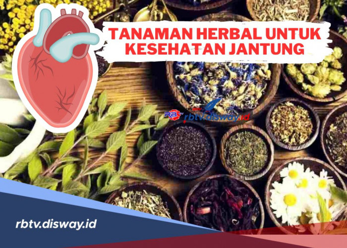 Dijamin Ampuh! Berikut 9 Tanaman Herbal untuk Kesehatan Jantung