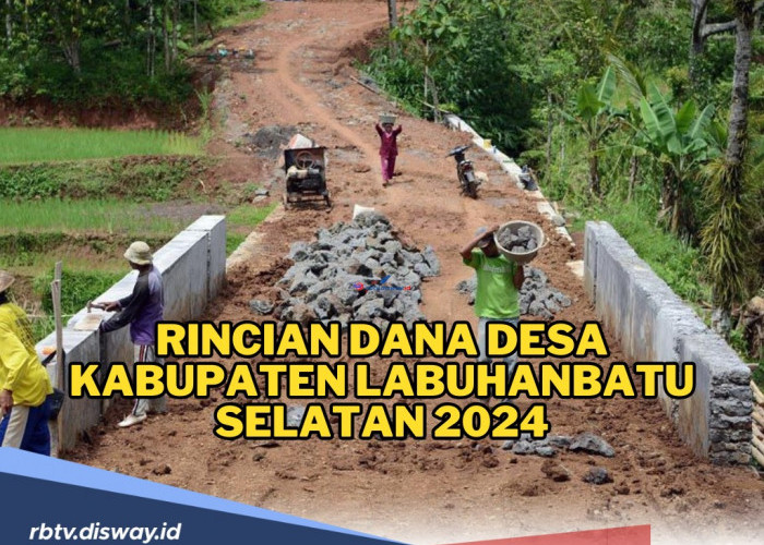 Rincian Dana Desa Kabupaten Labuhanbatu Selatan 2024, Cek Desa yang Dapat Kucuran Terdikit