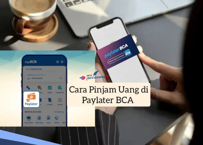 Cara Pinjam Uang di Paylater BCA, Pinjaman Rp 10 Juta Bunga 0 Persen, Cukup Siapkan KTP