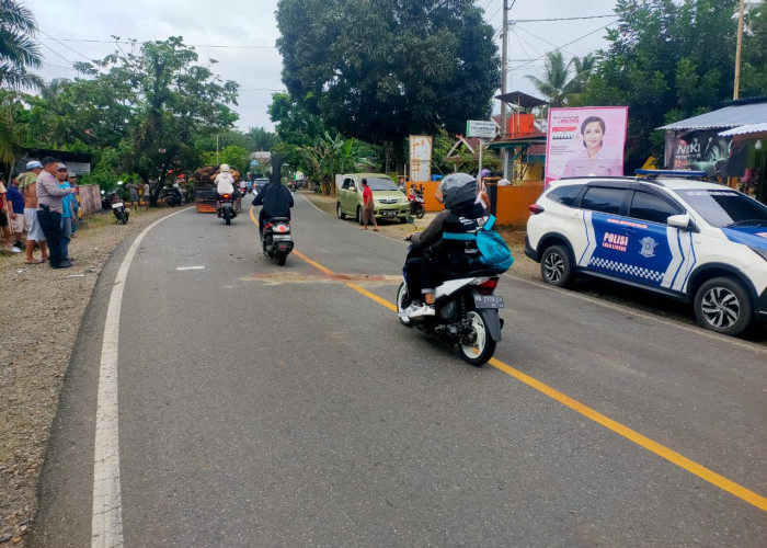 Tabrakan Adu Kambing di Jalinbar, 2 Pengendara Sepeda Motor Meninggal Dunia