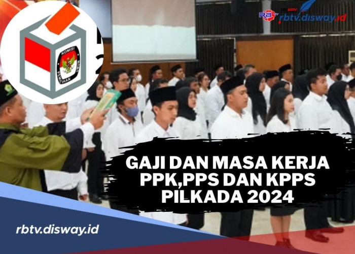 Berikut Gaji dan Masa Kerja PPK, PPS dan KPPS Pilkada 2024