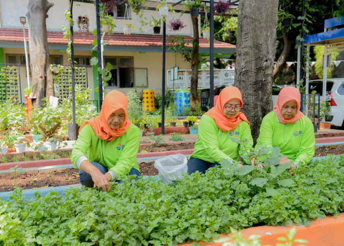 Program BRINita, Sukses Sulap Lahan Terbengkalai Jadi Urban Farming Produktif