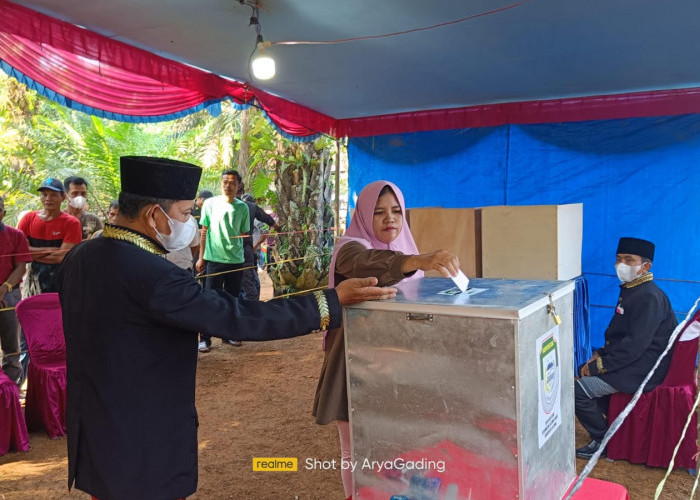 Siap-siap, Tahapan Pilkades Serentak di Seluma Segera Dimulai, Ini Syarat Mencalon Kades