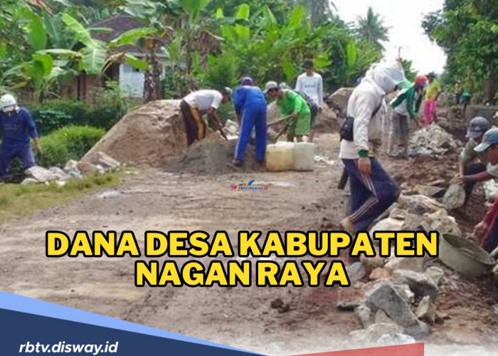 Rincian Dana Desa Kabupaten Nagan Raya 2024, Desa Alue Waki Menerima Dana Desa Terbesar, Segini Totalnya