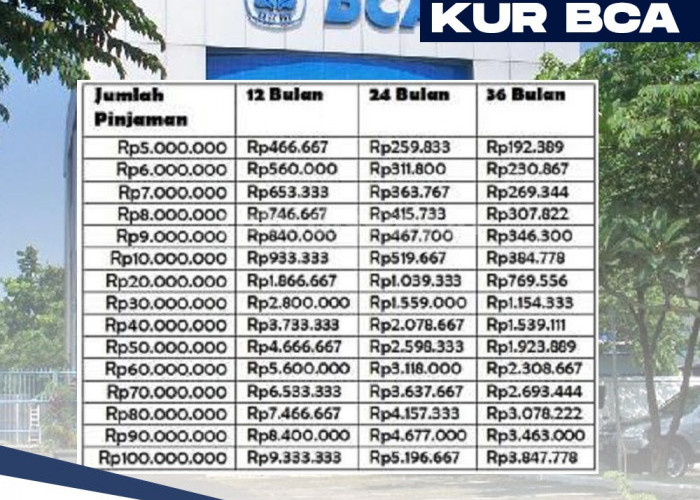 KUR BCA 2024 Dibuka, Ajukan Pakai NIB Cair Cepat dan Ini Tabel Angsuran Pinjaman Rp 35 Juta