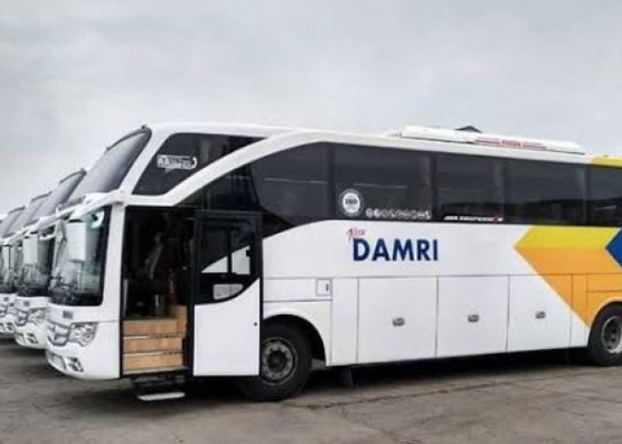 DAMRI Buka Rute Baru dari Bengkulu ke 5 Kota, Cek Tarif dan Jadwal Keberangkatan di Sini