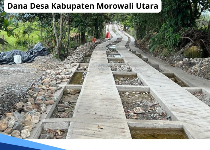 Dana Desa di Kabupaten Morowali Utara Tahun 2024, Ada yang Dapat Rp 1 Miliar, Ini Rinciannya per Desa