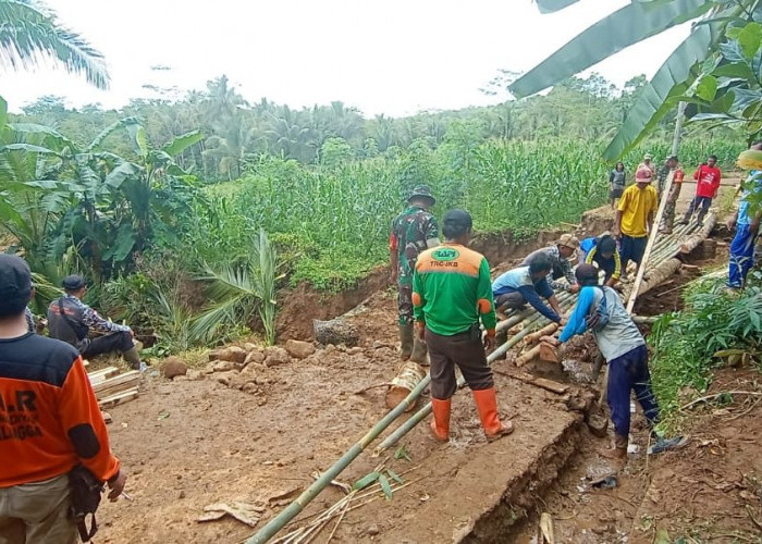 Tabel Rincian Dana Desa di Kabupaten Sanggau Tahun 2024, Tidak Ada Lagi Irigasi yang Jebol