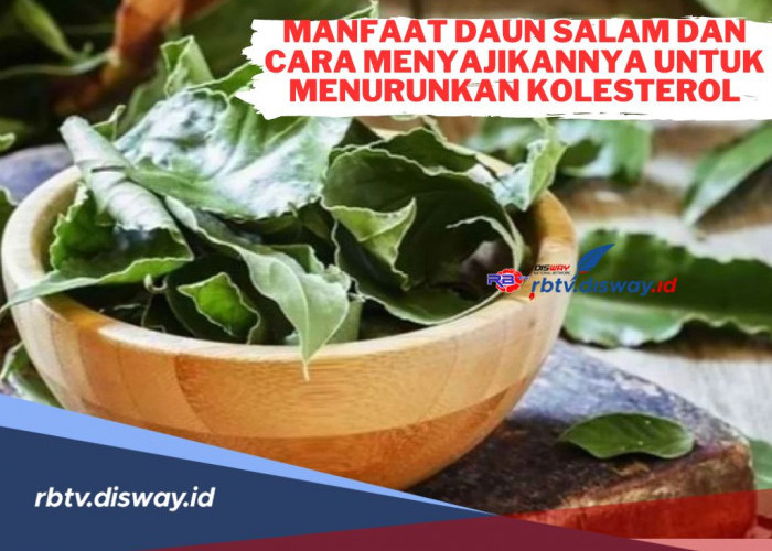 Manfaat Daun Salam dan Cara Menyajikannya untuk Menurunkan Kolesterol