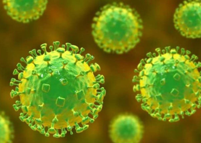 Ratusan Orang Meninggal Dunia karena Virus Nipah, Pertama kali Ditemukan di Negara Tetangga Indonesia