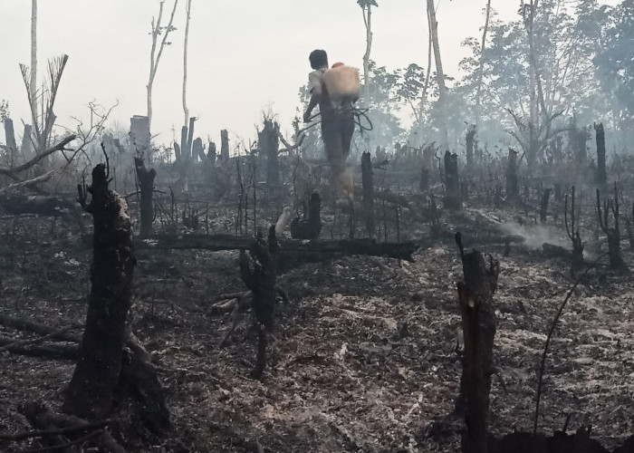 Empat Hektare Lahan Sawit di Seluma Hangus, Asap Kepung Pemukiman Penduduk Desa