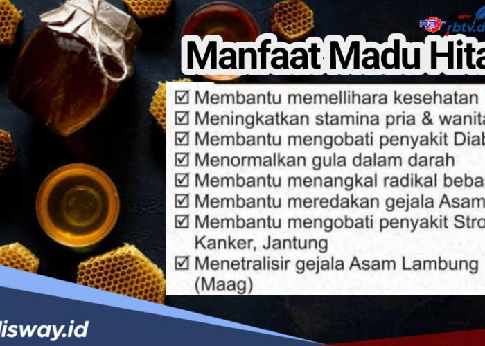 Madu Hitam Pahit untuk Penyakit Apa? Ini 11 Manfaat Madu Hitam Pahit untuk Kesehatan